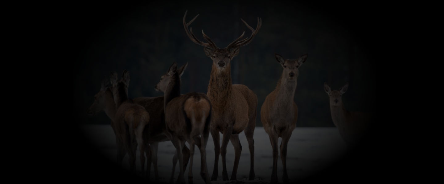 Yourbeef - Der Fleischversand für Kenner