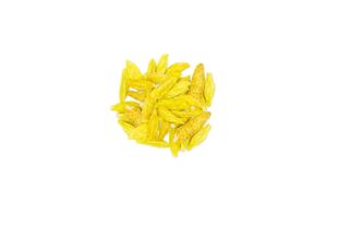 Amazonas Chili | Grilllack | ganze Schoten