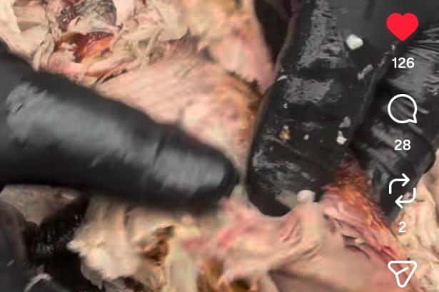 Pulled Pork ganz easy 